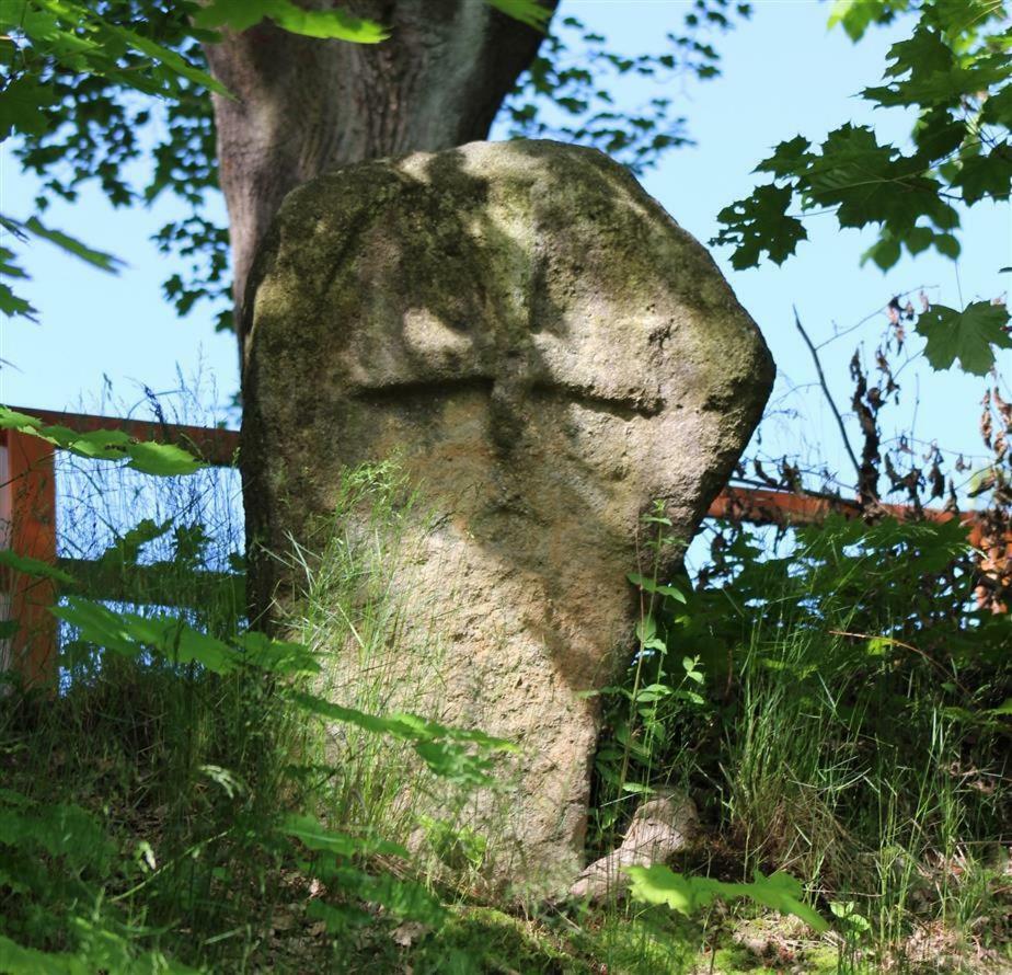 Jablonné nad OrlicíHradiskaアパートメント エクステリア 写真